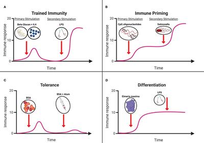 Preventing bacterial disease in poultry in the post-antibiotic era: a case for innate immunity modulation as an alternative to antibiotic use